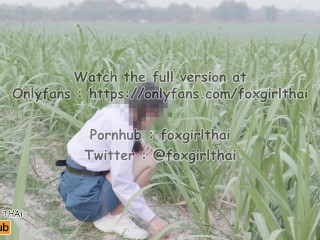 4k thai เย็ดนักเรียนในไร่อ้อย รถผ่านไปมาโคตรเสียว แตกใส่หน้าเต็มๆ