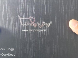 A Really Good Anal Review (Tracy's Dog Prostate Massager)