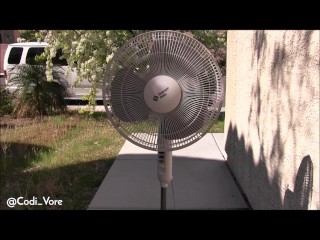 Codi Vore Fucks a Fan