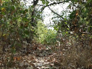 Forest Fingering &amp; Buttplug Play! // Outdoor Masturbation // Ivy Woods
