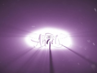 Her Ass On A Silver Platter / TransAngels