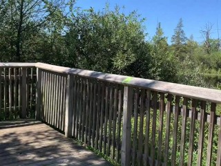Hot couple gets caught while fucking on a public boardwalk