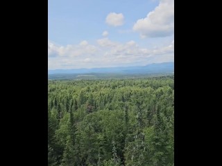 I LURED A STRAIGHT GUY IN THE WOODS TO SUCK HIS DICK