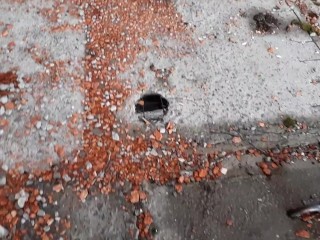 Я трахаю его на заброшенной фабрике, глядя на проезжающие поезда