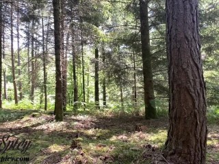 Il l'attache en foret avec un panneau "baise moi"