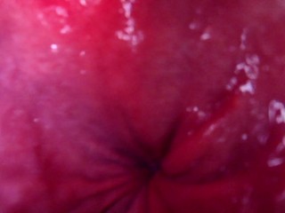 Internal Anal View Bad Dragon Flint Cums In A Condom After Pounding My Ass