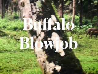Interrupted by a Buffalo? Intense Deepthroat with Cum in Mouth - LeoLulu