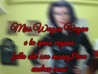Miss Wagon Vegan Food Porn - La spesa veg che mi ha fatto il mio moneyslave