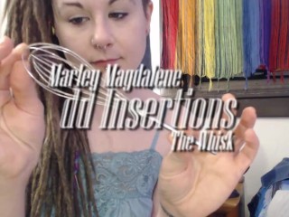 Odd Insertions Whisk In Hairy Pussy
