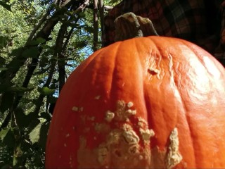 Public Big Cock Pumpkin Fucking and Piss