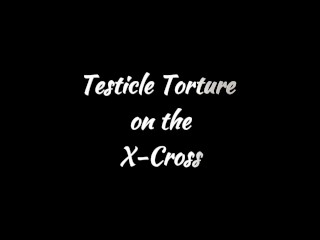 Restrained Upside Down Dungeon Ballbusting on the St Andrews Cross, BDSM CBT Testicle Slave Trailer