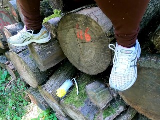 Riesenbürste einführen im Wald