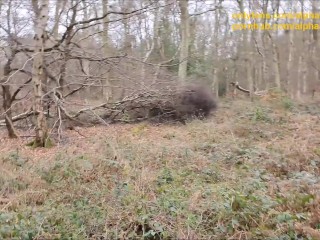 Risky Outdoor Sex &amp; Cum Over My Gymshark Top in Public Woodland