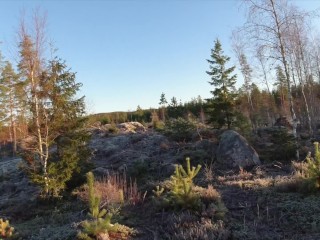 Sex on a reindeer skin next to a forest lake - RosenlundX - 60fps