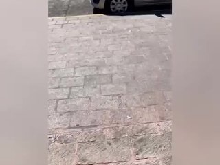 Sexo por DINERO! Le ofrezco DINERO a SEÑORA Mexicana Sumisa que Estaba Esperando su Camión VOL #1