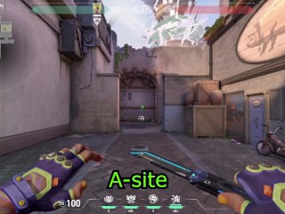 Stop being Horny! Learn these Gekko lineups!