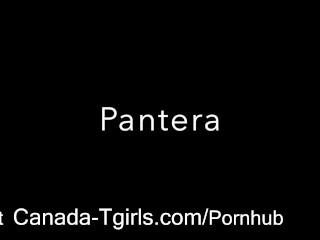 Tgirl Pantera covered in BabyOil