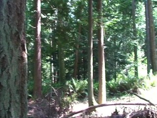 Trying anal sex with my stepbrother in the woods - Erin Electra