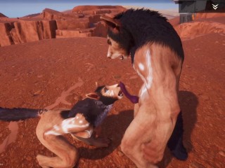 Wild Life Desert Fox Fun / Furry Porn