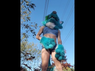 Wolf Fursuiter pisses on public hiking trail