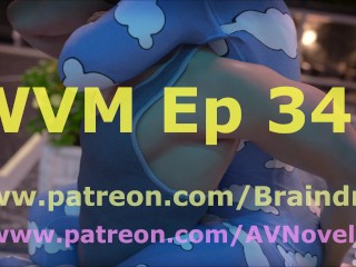 WVM 343